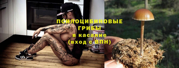 ECSTASY Аркадак